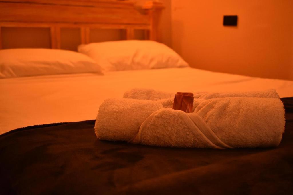 Hostal Casa Primavera ميديلين المظهر الخارجي الصورة