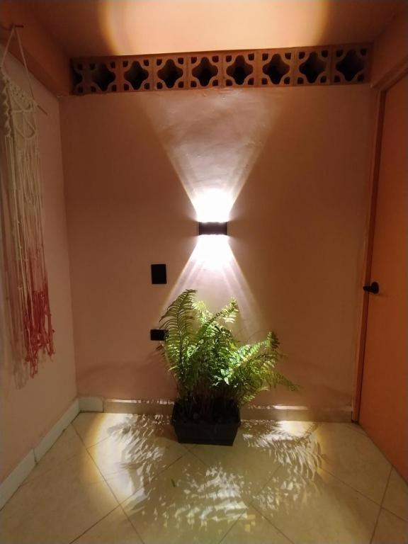 Hostal Casa Primavera ميديلين المظهر الخارجي الصورة