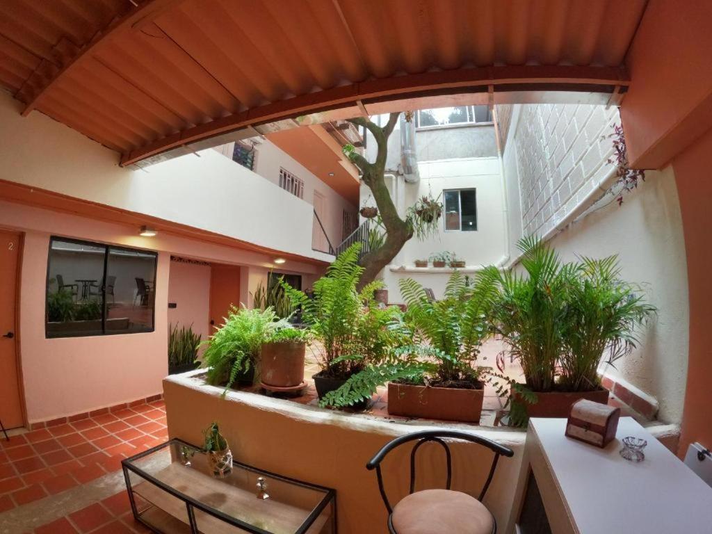Hostal Casa Primavera ميديلين المظهر الخارجي الصورة