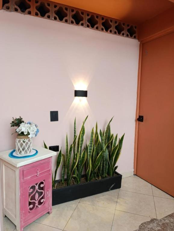 Hostal Casa Primavera ميديلين المظهر الخارجي الصورة