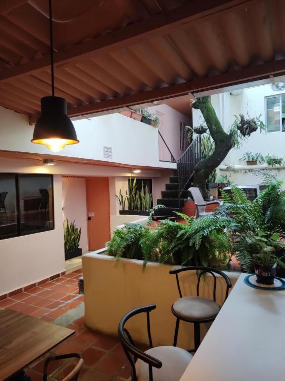 Hostal Casa Primavera ميديلين المظهر الخارجي الصورة